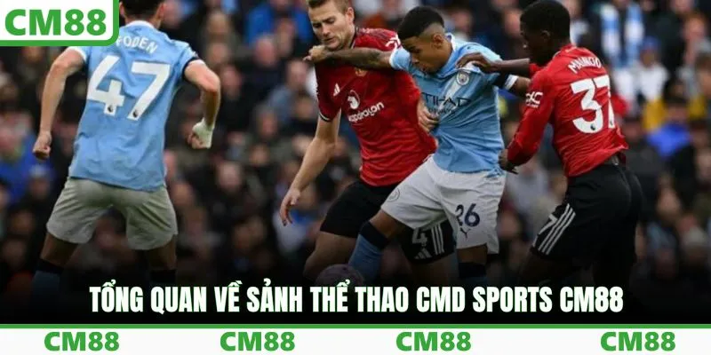 Tổng quan về sảnh thể thao CMD Sports CM88